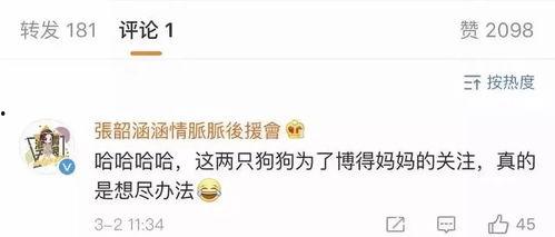 娱乐吃瓜头条号,吃瓜群众速来围观！